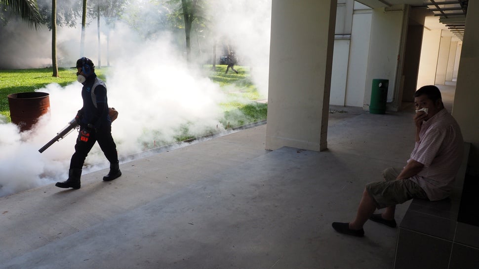 Pemerintah Didesak Intensifkan Penanganan Virus Zika
