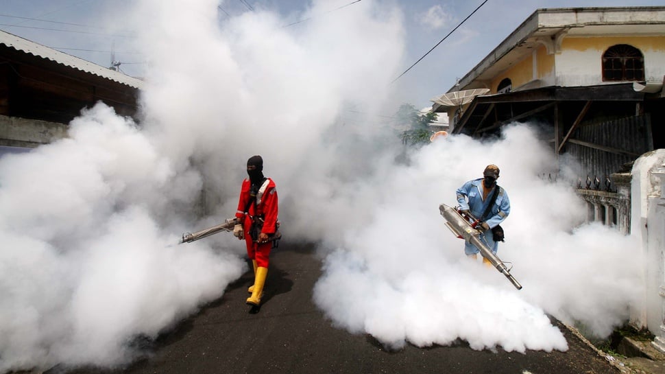 Kemenkes Ajak Masyarakat Berantas Nyamuk Penular Zika