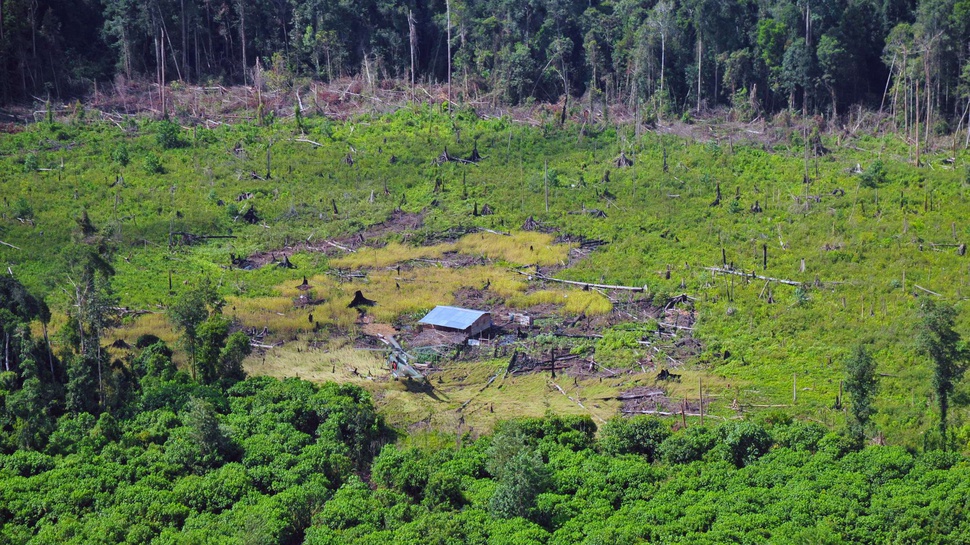 Indonesia Terpilih Jadi Anggota Dewan Biosfer UNESCO