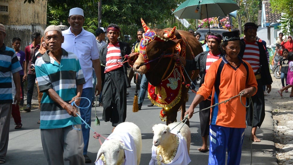 2016/09/12/TIRTO-antarafoto-pawai-sapi-kurban-120916-sen.JPG