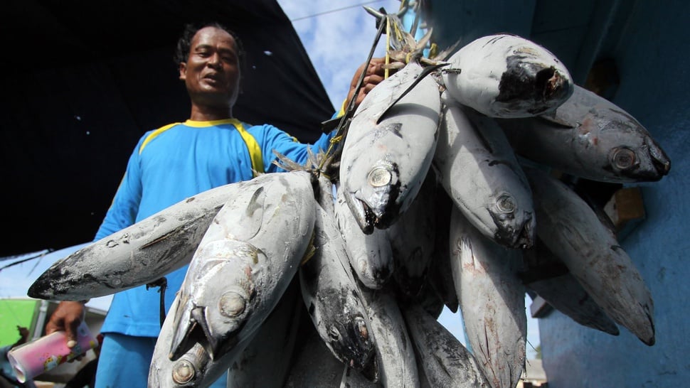 15 Ikan yang Mengandung Merkuri Tinggi, Mackerel hingga Tuna