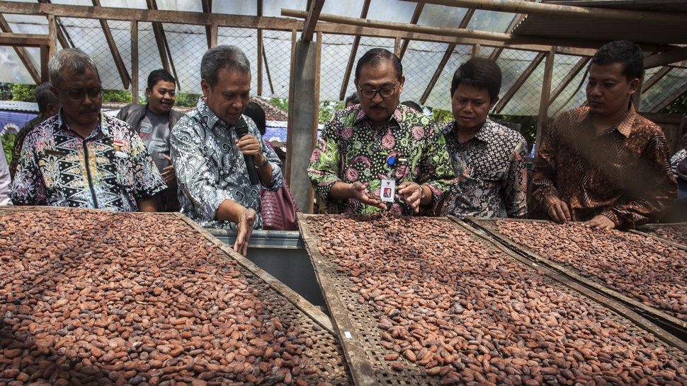 Produk Kakao Gunungkidul