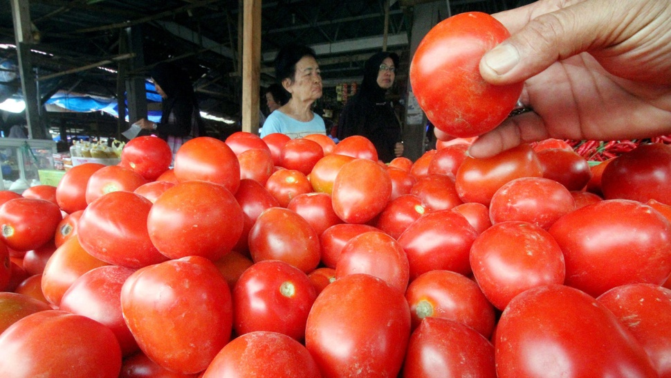 Apa Saja Manfaat Buah Tomat dan Kandungan Gizinya?