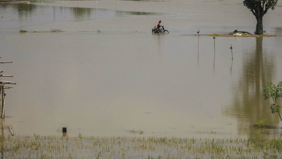 2016/11/29/TIRTOID-antarafoto-banjir-akibat-luapan-bengawan-solo-291116-ms-3.JPG