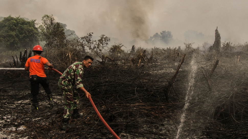 Lahan Gambut di Meranti, Riau Terbakar