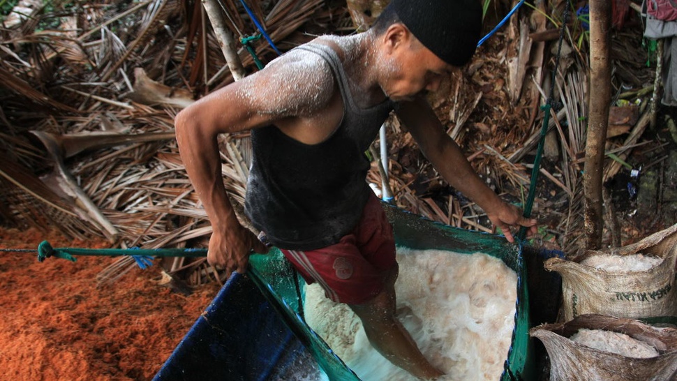 Sumber Daya Alam Sagu di Indonesia: Wilayah Persebaran & Asal-usul