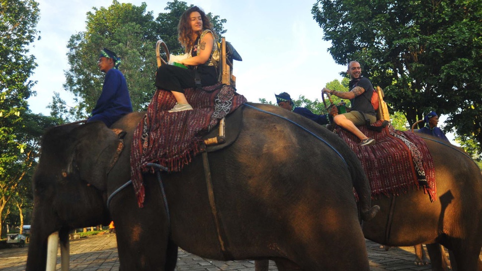 Pengunjung Pertama Borobudur di Awal Tahun 2018 Diarak Naik Gajah
