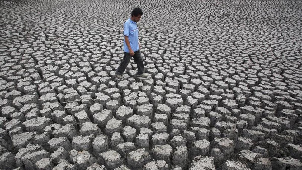 Antisipasi El Nino, Kemendag Pantau Pergerakan Harga Pangan