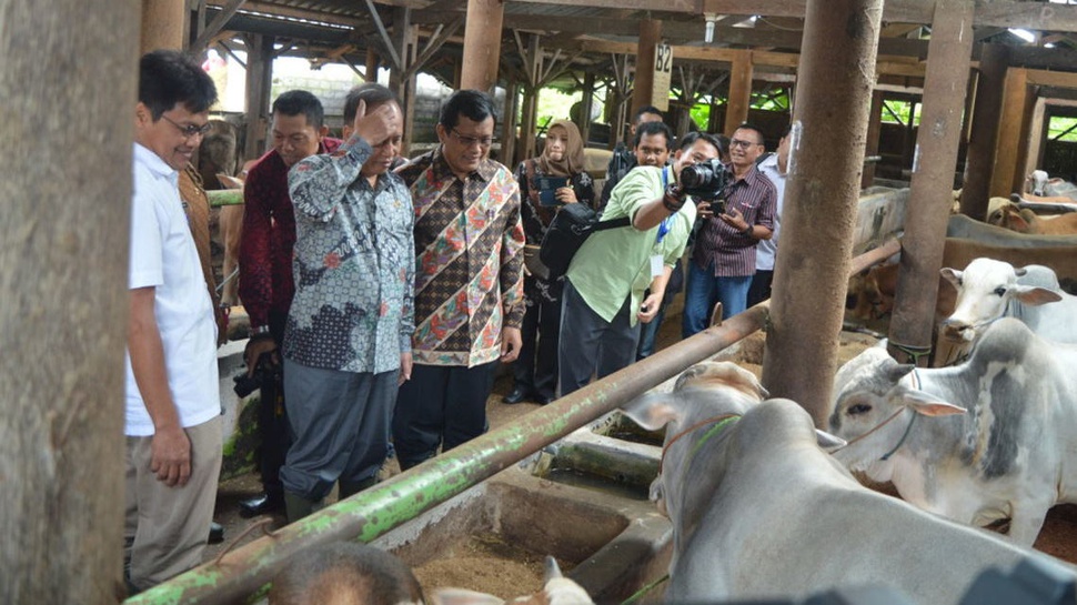 Indonesia Targetkan Swasembada Daging 10 Tahun Mendatang