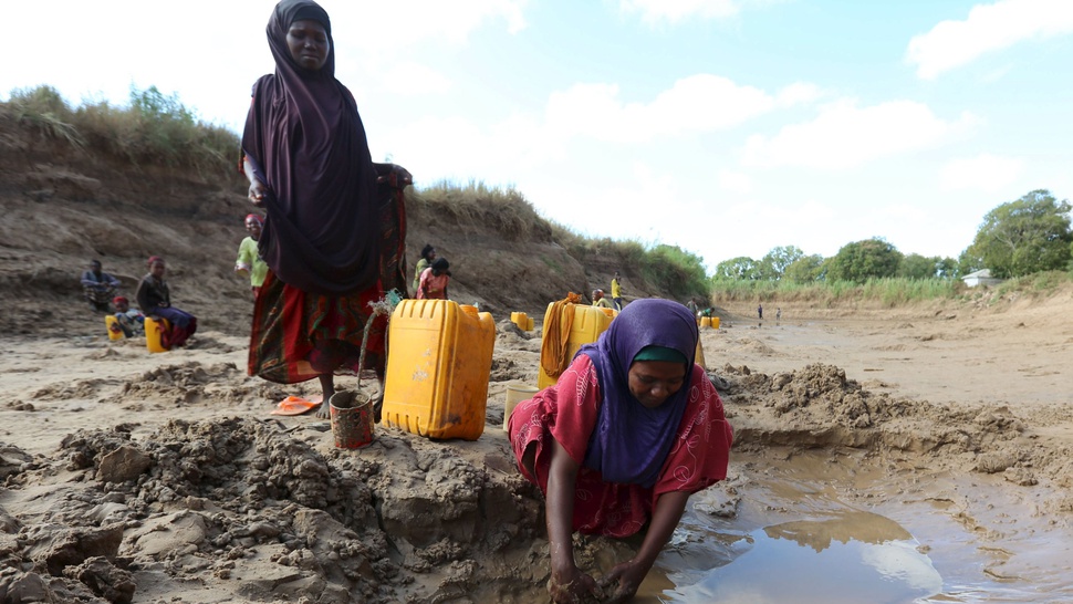 Lebih dari 6,2 Juta Orang di Somalia Butuh Bantuan Pangan