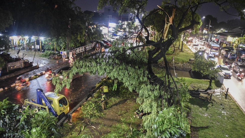  Hujan Angin di Jakarta Sebabkan Banjir dan 33 Pohon Tumbang