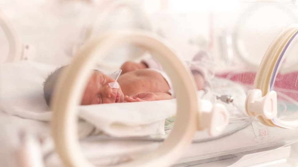 Merawat Bayi Prematur, Mulai dari NICU RS Hingga Saat di Rumah