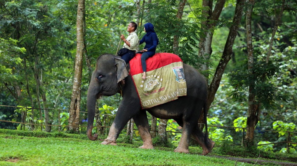 Tunggang Gajah Jadi Favorit Wisata Lebaran di Way Kambas
