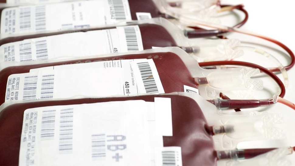 Kantong Darah HIV di TPS, Kemenkes: Bukti Pelanggaran Prosedur