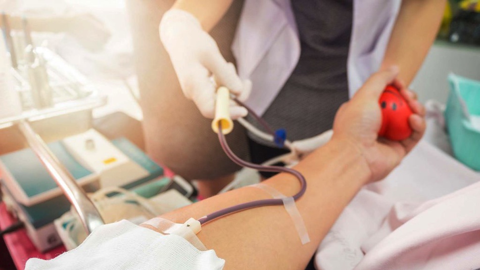 Kurangi Angka Kematian Ibu, Kaum Muda Diimbau Aktif Donorkan Darah