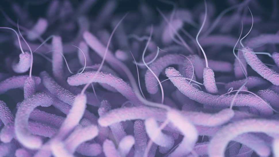 Ketahui 13 Gejala Orang Terkena Penyakit Kolera dan Penyebabnya