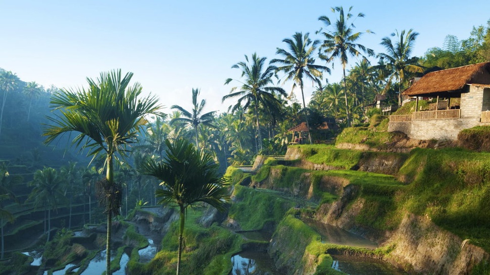 Daftar Rekomendasi Tempat Wisata di Ubud Bali Saat Libur Nataru