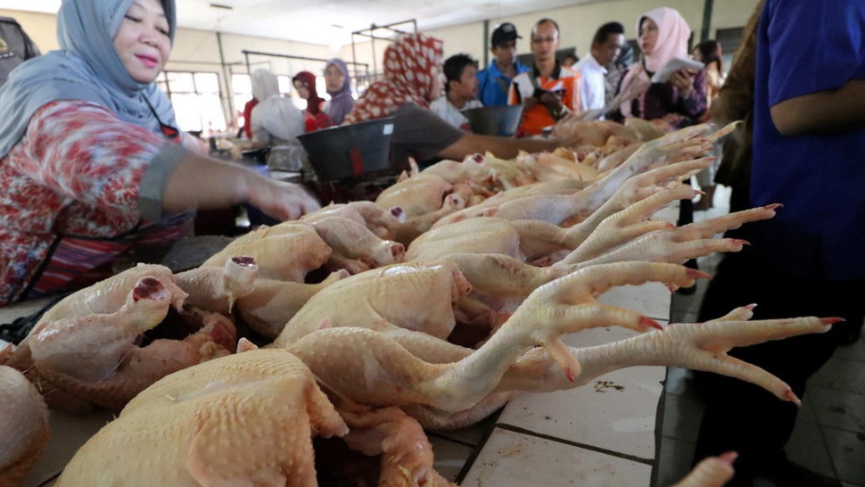 YLKI Minta Pemerintah Awasi Pelaku Pasar Jelang Ramadan