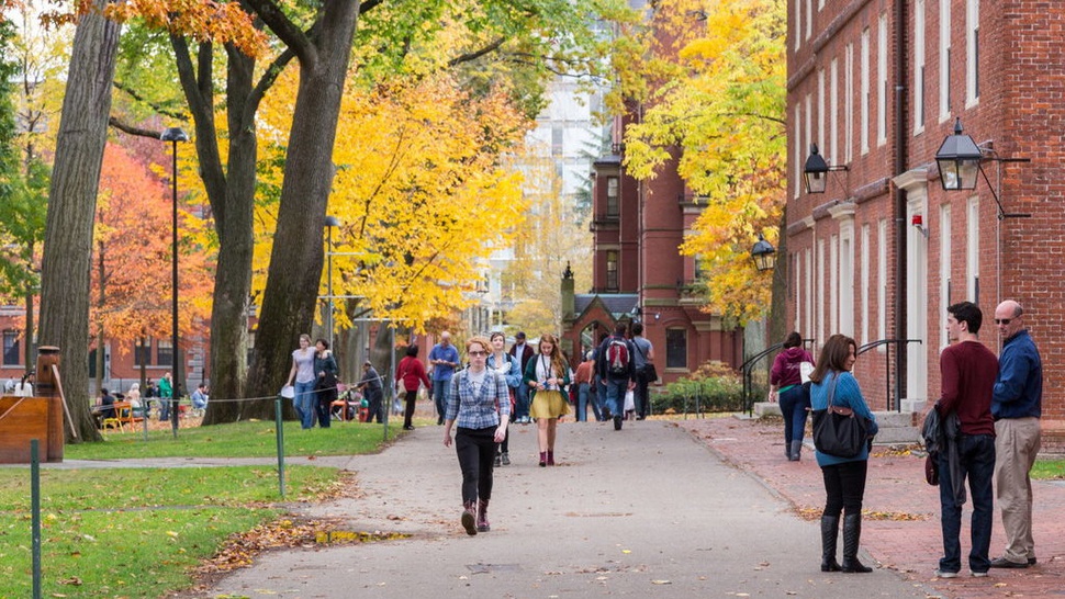 10 Calon Mahasiswa Batal ke Harvard karena Meme di Facebook 
