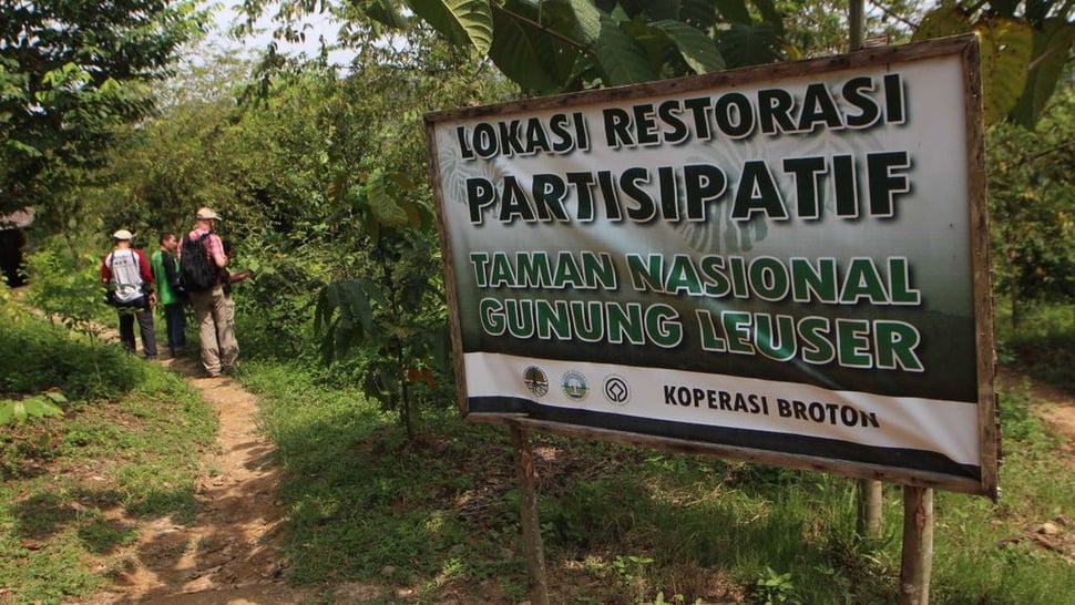 Aktivitas Ilegal Hancurkan Hutan Hujan Tropis Sumatera