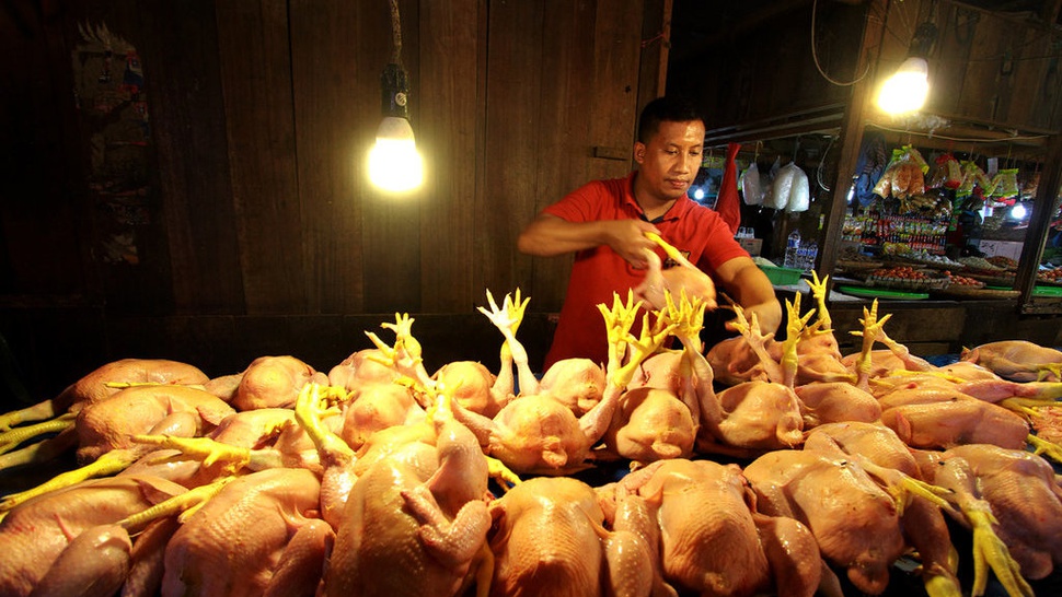 Update Harga Pangan 13 Juni 2023: Daging Ayam Rp39.850/ Kg