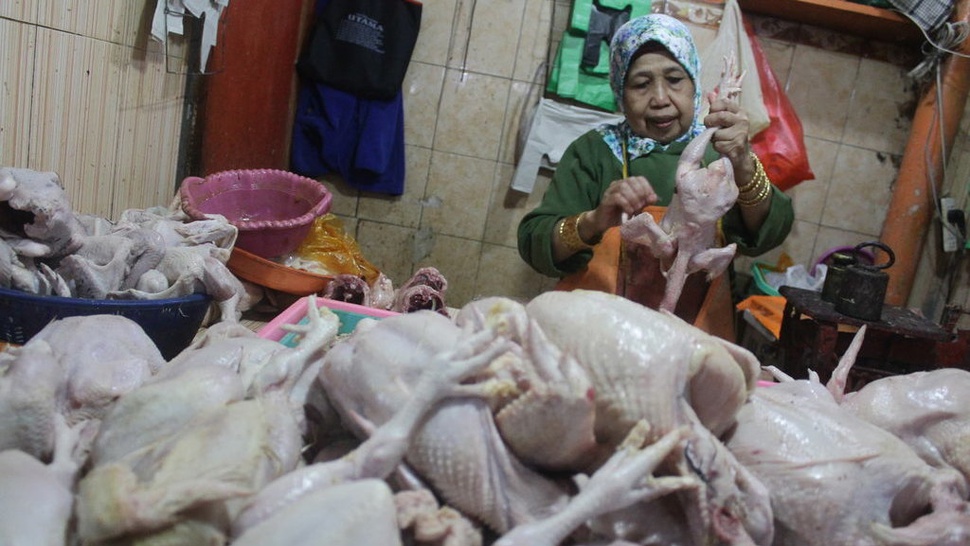 Jokowi Bakal Cek Penyebab Kenaikan Harga Daging Ayam Rp50.000/Kg