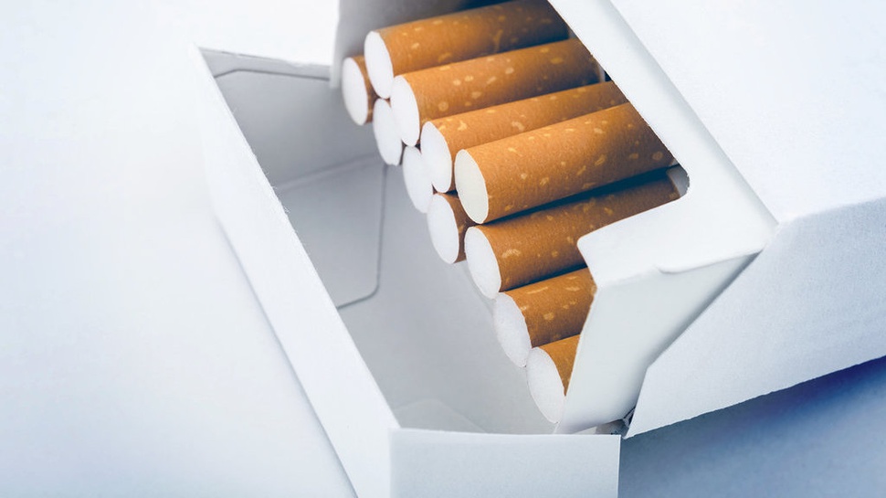 Dampak Buruk Akibat Cukai Rokok Tidak Naik pada 2019 Menurut YLKI