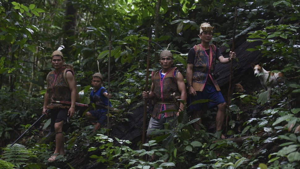 Tradisi Berburu dan Kelestarian Hutan Adat Tana' Ulen