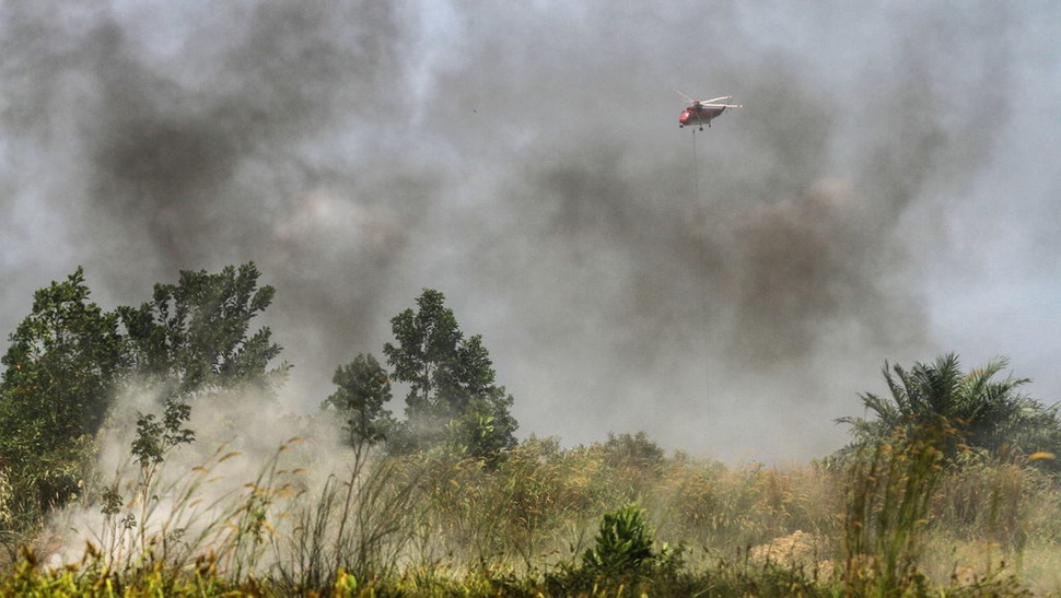 Kebakaran Hutan di Riau Telah Habiskan 21,67 Juta Ton Air