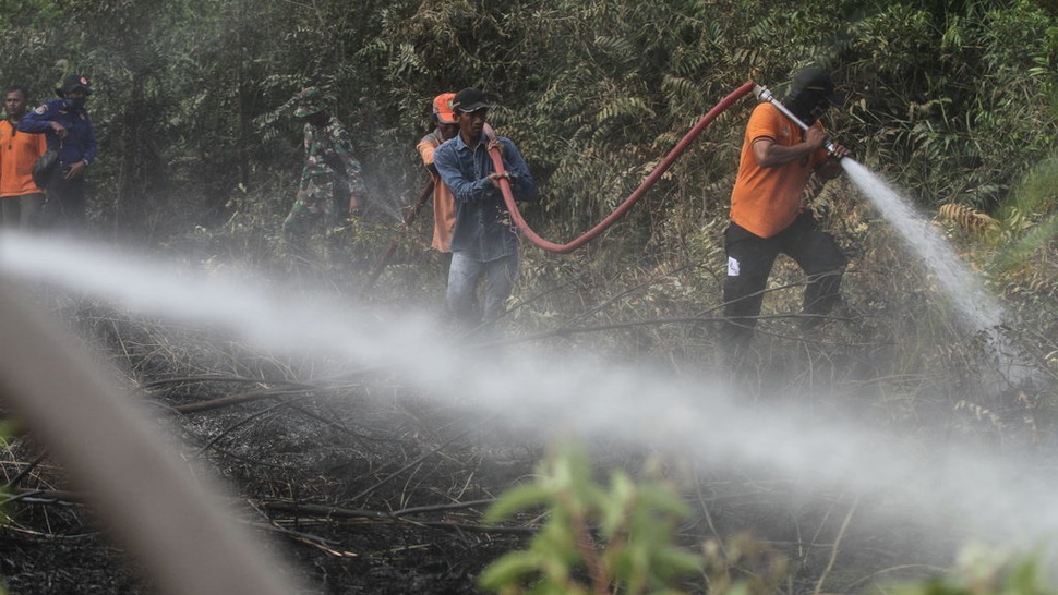 Siti Nurbaya Dipanggil Jokowi Bahas Kebakaran Hutan 