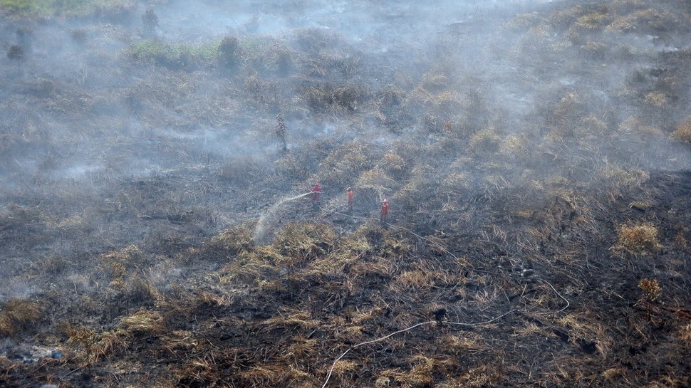 Polda Riau Tetapkan Tiga Tersangka Kasus Karhutla