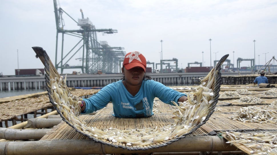 Industri Pengasinan Ikan Terkendala Pasokan Garam