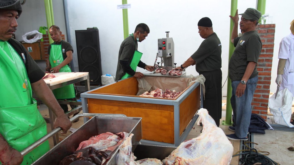 Pemprov Jakarta Sertifikasi 1.110 Pemotong Hewan Kurban Iduladha