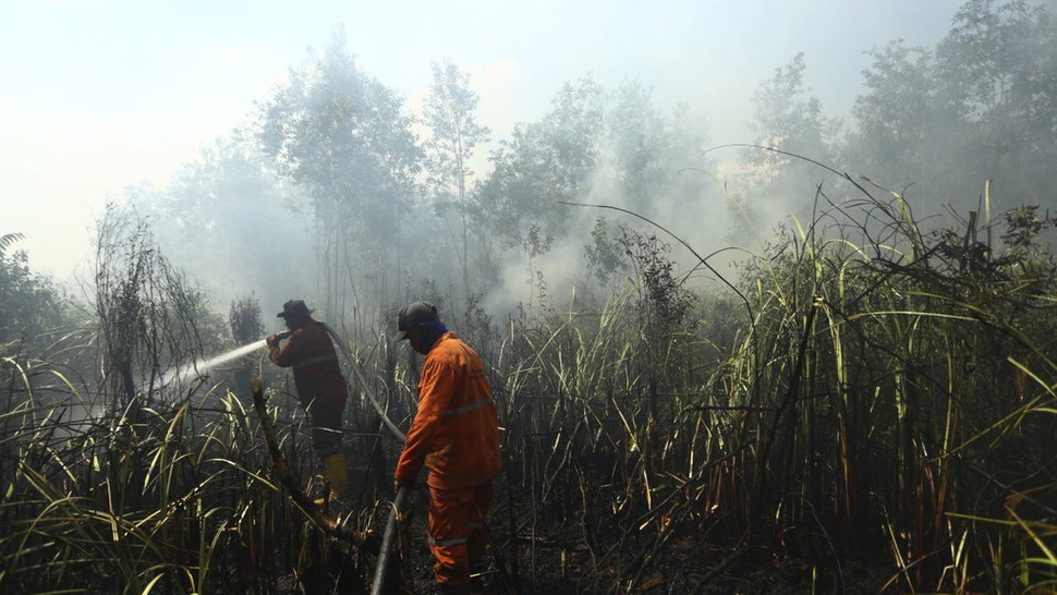 BMKG Imbau Petugas Awasi Daerah Rawan Kebakaran Hutan