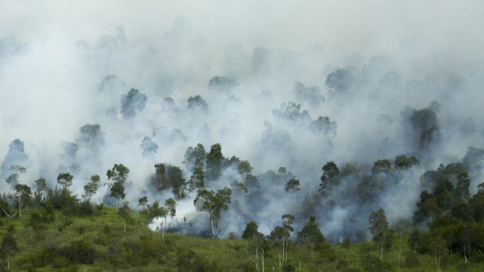 Kebakaran 12 Hektare Hutan Gunung Rinjani Masih Diselidiki 