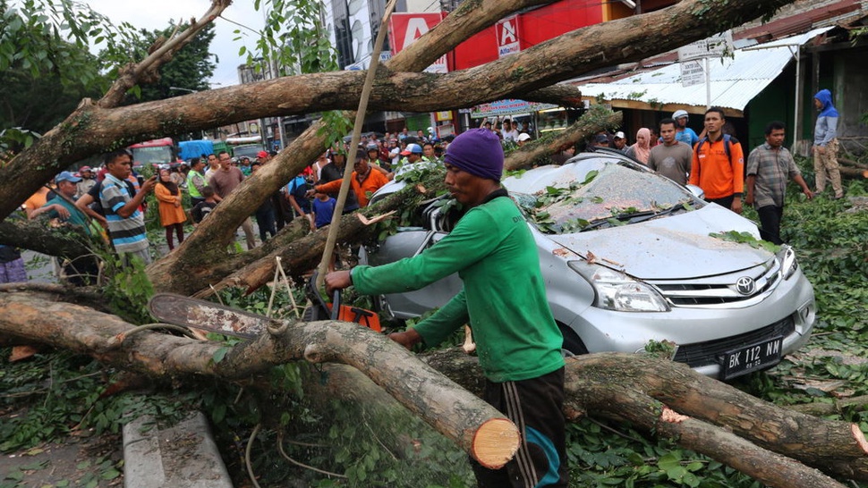 Insiden Pohon Tumbang di Banjarnegara Tewaskan 1 Orang 