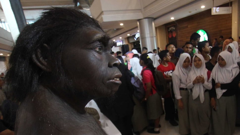 Manusia Purba Tertua di Indonesia Ditemukan di Bumiayu, Brebes