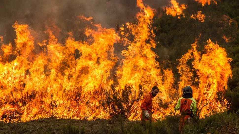 Mendagri Portugal Mundur Usai Kebakaran Hutan Tewaskan 100 Orang
