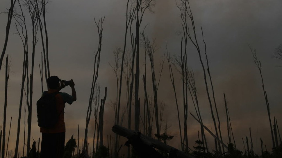BMKG Sebut Tak Ada Titik Api di Sumatera Barat