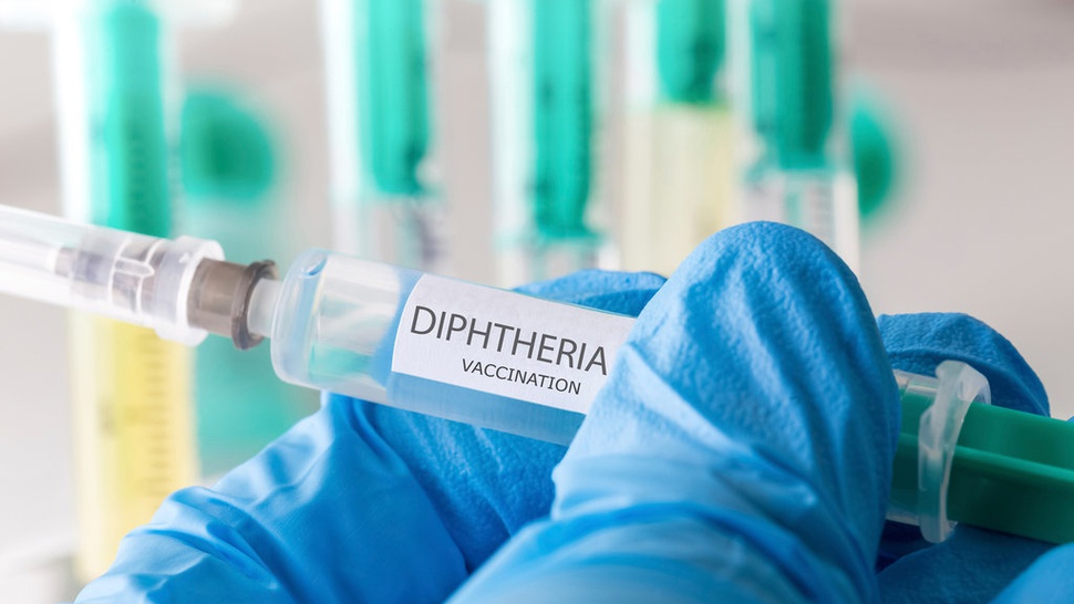 Apa Itu Penyakit Difteri, Gejala dan Cara Penularannya