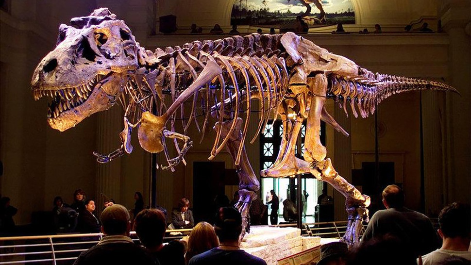 Pasang Iklan Fosil T.rex di eBay, Alan Dietrich Dikritik Ilmuwan