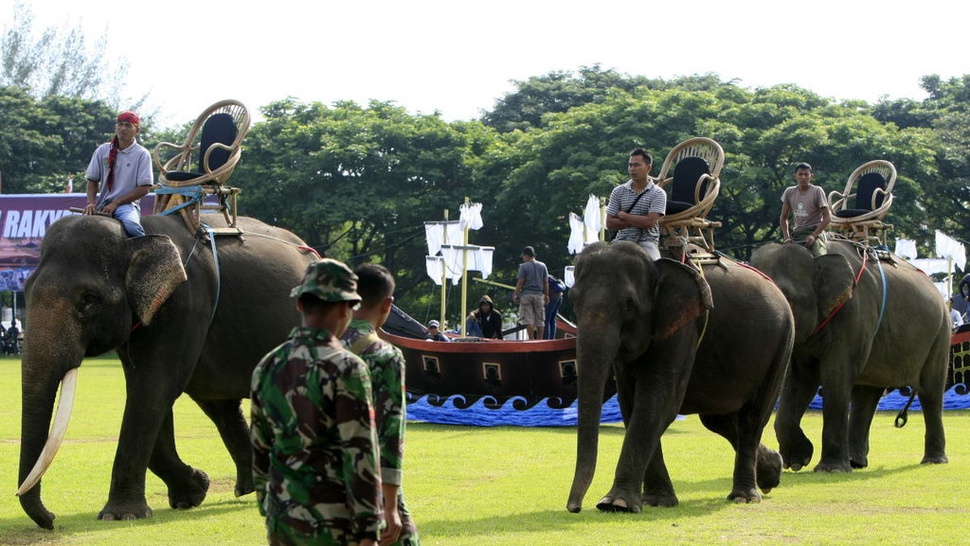 Eksploitasi Gajah untuk Kepentingan Pilkada 2018
