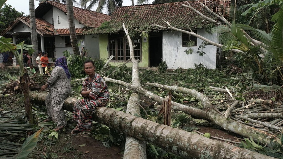 Hujan Lebat Sebabkan Puluhan Pohon Tumbang di Yogyakarta