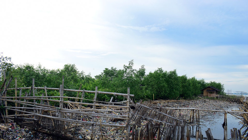 BRIN Ajak Lokalisasi Sampah Menuju Hutan Mangrove Muara Angke