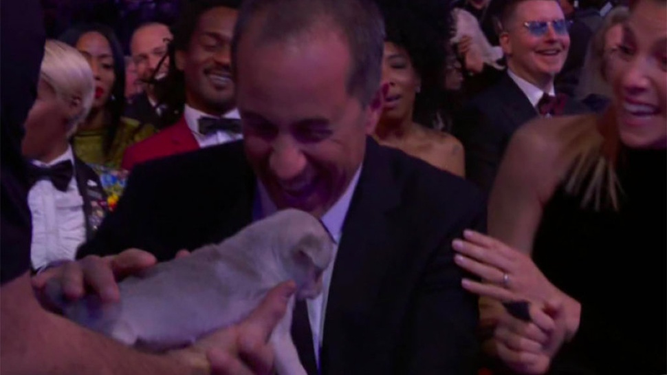 Grammy Awards 2018: Nomine yang Gagal Dihadiahkan Anak Anjing