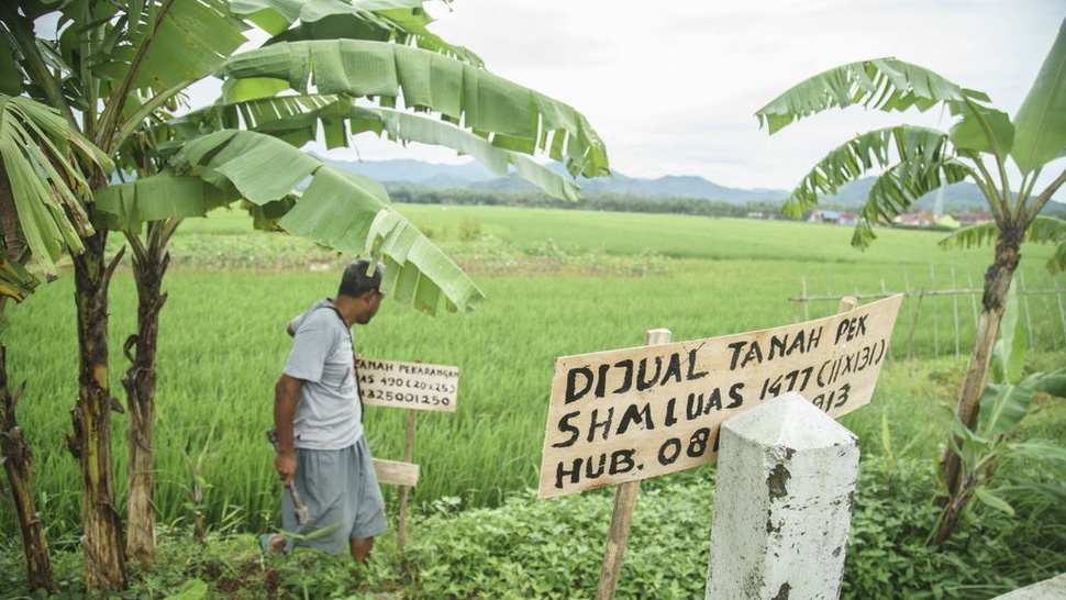Terancam Tergusur, Petani Kulon Progo Sumbang Pangan Saat Pandemi