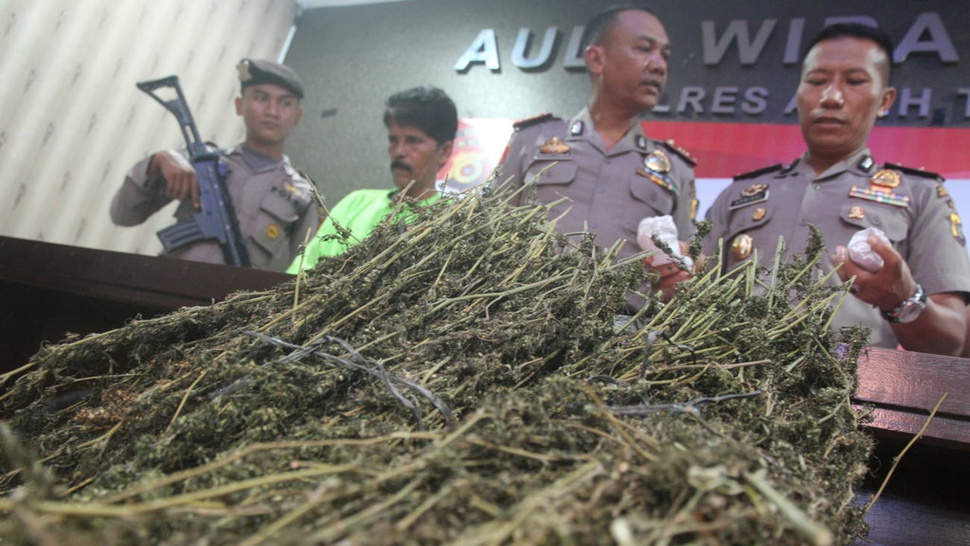Polres Jakarta Barat Musnahkan 1,3 Ton Ganja dan 6,3 Kg Sabu
