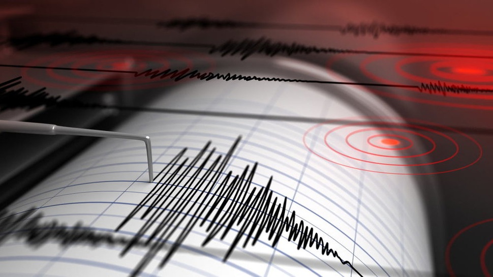 Gempa Jayapura M 6,3 Dirasakan Kuat di Sentani & Wamena Papua