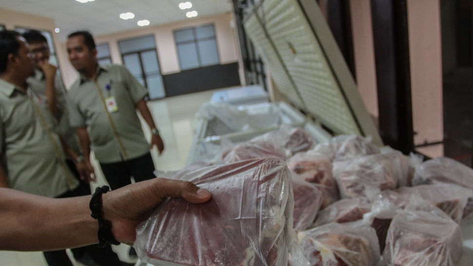 46 Ribu Ton Daging Kerbau Impor dari India Diklaim Bebas Virus PMK