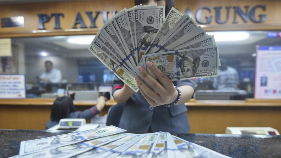 Dolar Sentuh Rp14.000, Apa Sudah Mengkhawatirkan?